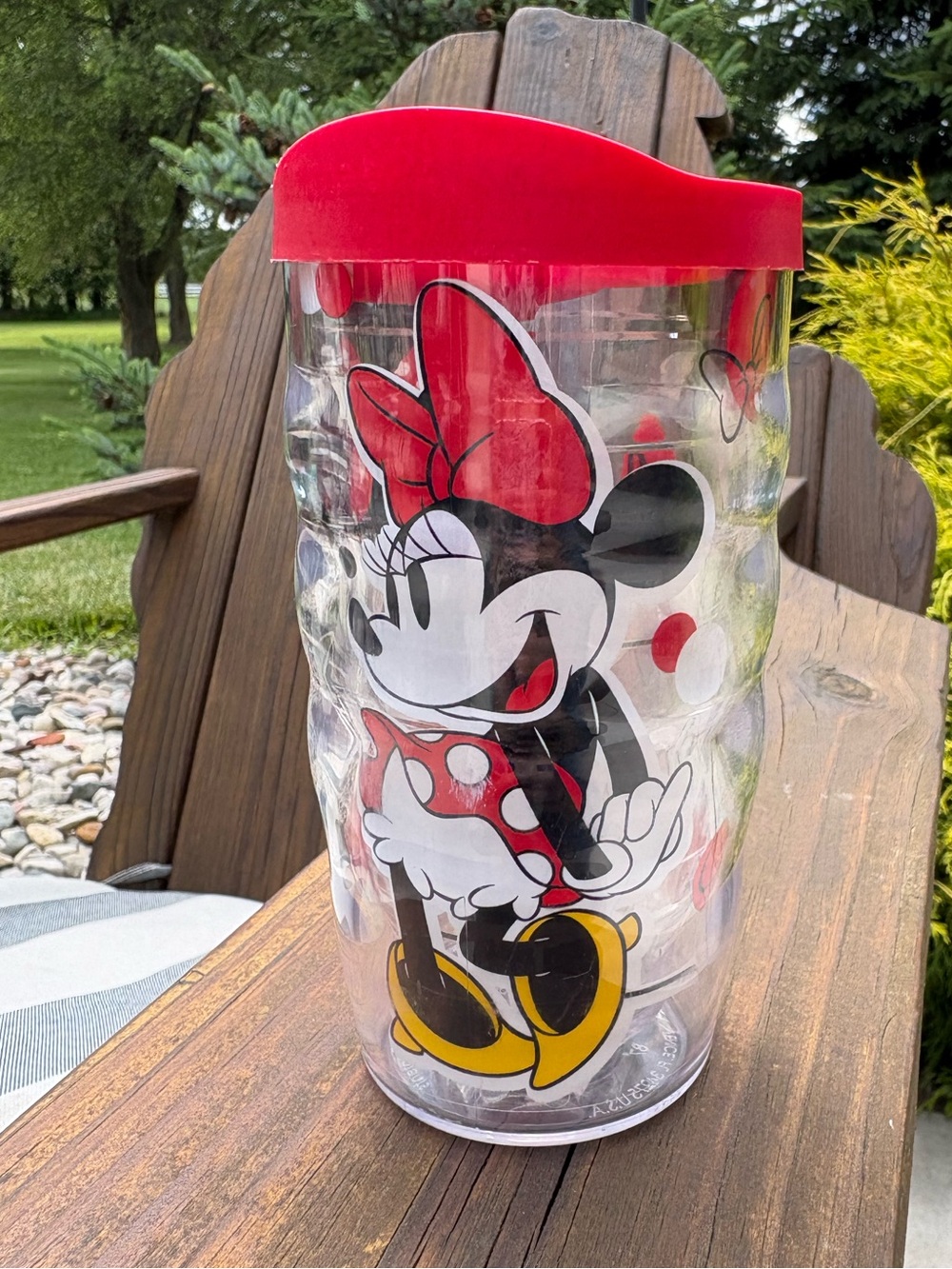 Kids  Minnie Mouse Tervis Red Lid Travel Tumbler